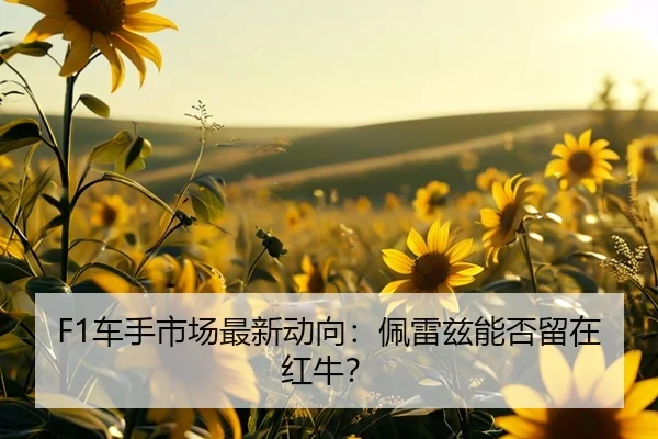 F1车手市场最新动向：佩雷兹能否留在红牛？